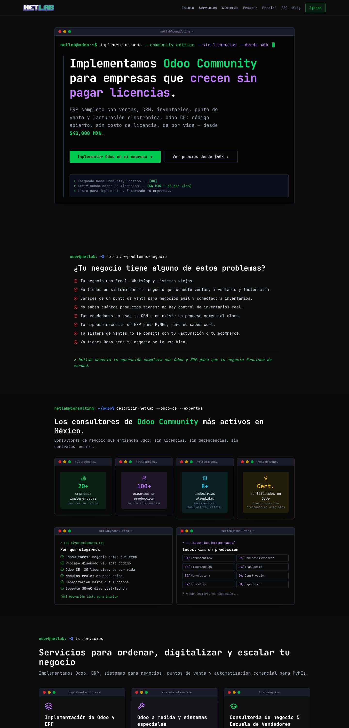 Sitio web de netlab.mx