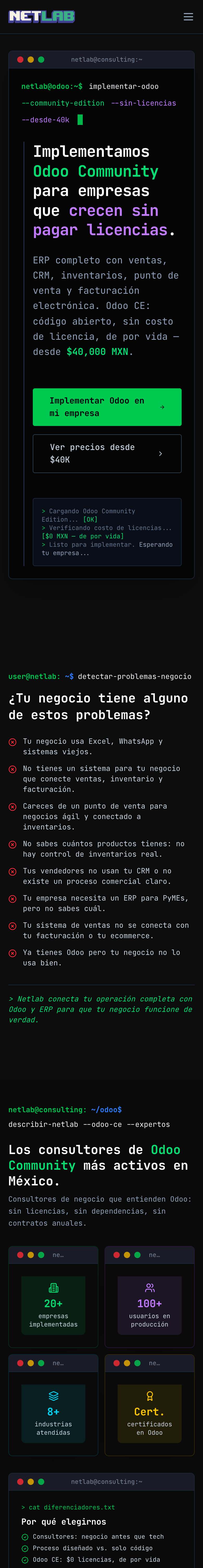 Sitio web de netlab.mx